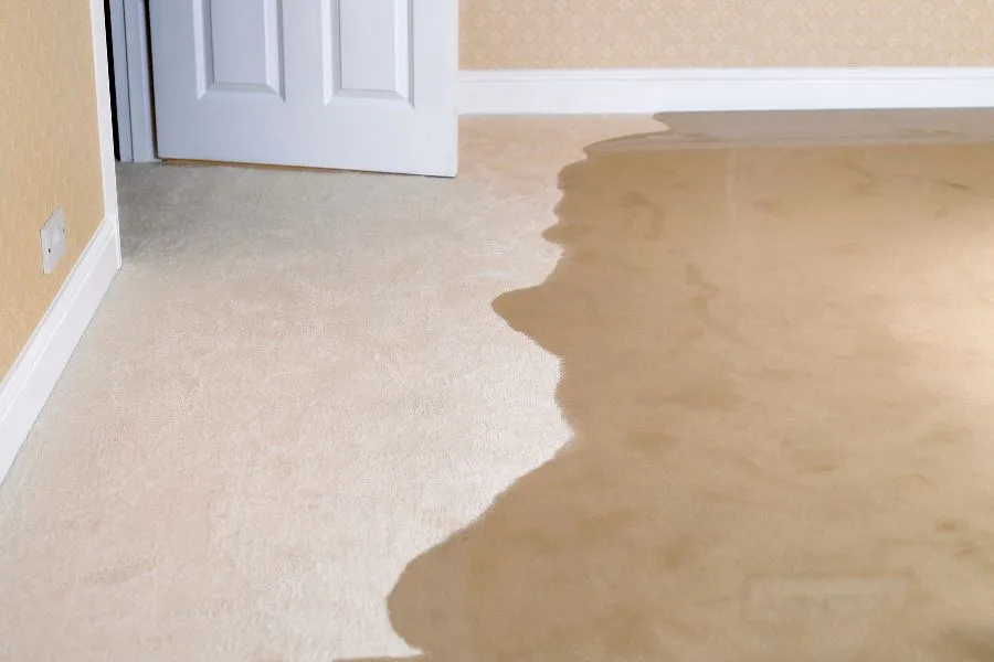 signs-of-a-slab-leak-include-damp-carpet.jpg Slab Leak Repair